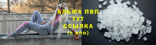 ECSTASY Вяземский