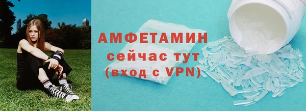 мдпв Краснослободск