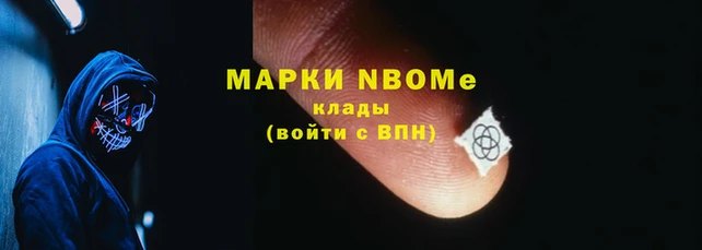 мдпв Краснослободск