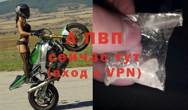 стафф Россошь