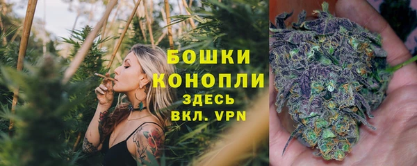 мдпв Краснослободск