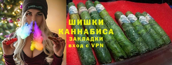 мдпв Краснослободск