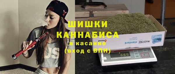 мдпв Краснослободск