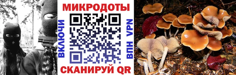 купить наркоту Вилюйск Галлюциногенные грибы Psilocybe